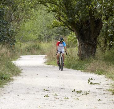 Ciclista entre árboles