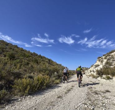Pinares de Valmadrid
