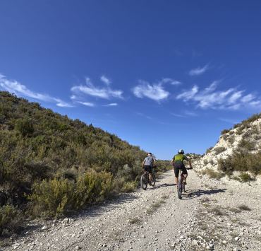 Pinares de Valmadrid