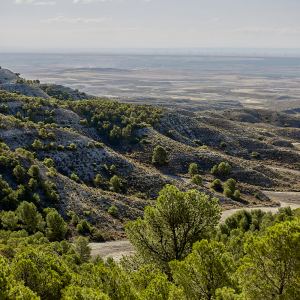 Montes de Valmadrid (Rutas 4, 5 y 10)