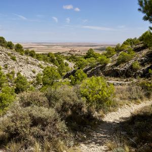 El Pueyo desde la Pista de los Barbis (Ruta 4)